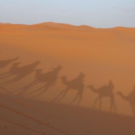 Merzouga Luxury Traditional Camp Eksteriør bilde
