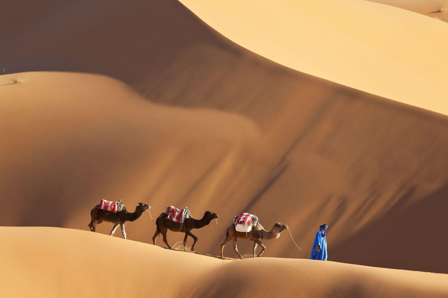 Merzouga Luxury Traditional Camp Eksteriør bilde